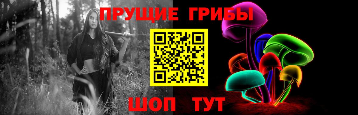 Псилоцибиновые грибы Cubensis Белая Калитва