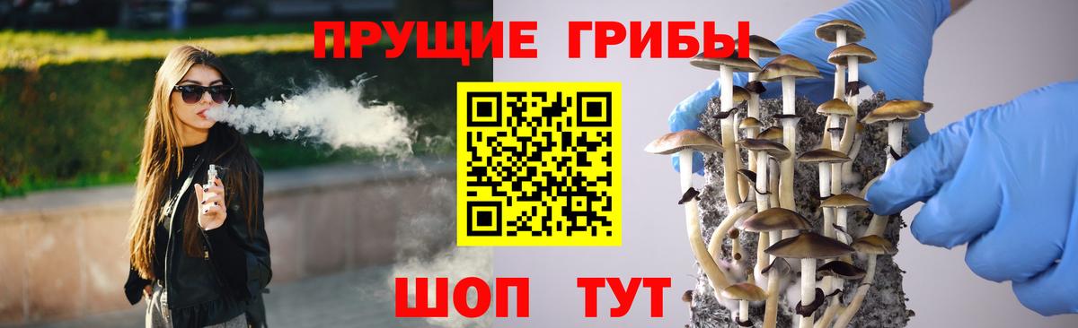 Псилоцибиновые грибы Psilocybe  Вход с VPN  Псилоцибиновые грибы Cubensis  Белая Калитва 